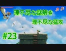『ゼルダの伝説 夢をみる島』実況プレイ Part23