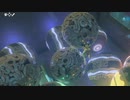 依頼を受けて、タマタマいっぱいの箱に入ってみた