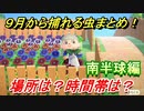 あつまれどうぶつの森　９月から捕れる虫まとめ！捕れる場所と時間帯も紹介！南半球編！　【あつ森】