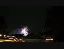 としまえん最終日花火（正門ゲート前）