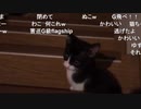 ザリガニvsG その２