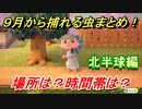 あつまれどうぶつの森　９月から捕れる虫まとめ！捕れる場所と時間帯も紹介！北半球編！　【あつ森】
