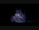 【実況プレイ】秋の夜長にHollow Knight part37