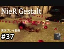 【NieR Gestalt】こんにちは狂気【part37】