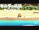 【ゼルダの伝説　夢を見る島】初見から辛口　ハルビーのひと夏の夢　PART1