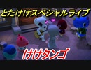 あつまれどうぶつの森　とたけけスペシャルライブ！けけタンゴを聞いてみよう！曲貰える！？　【あつ森】