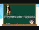 【ゆっくり解説】犬種３６：イングリッシュ・コッカー・スパニエル