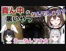 知らない人から買った暗黒物質で本物の「罪」を作ってしまった野良猫【にじさんじ切り抜き/文野環/月ノ美兎/樋口楓】