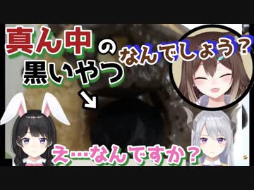 知らない人から買った暗黒物質で本物の「罪」を作ってしまった野良猫【にじさんじ切り抜き/文野環/月ノ美兎/樋口楓】