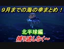 あつまれどうぶつの森　９月で捕れなくなる海の幸まとめ！（北半球編）早めに捕っておきましょう！　【あつ森】