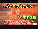 あつまれどうぶつの森　９月で釣れなくなる魚まとめ！（南半球編）釣れる場所と時間帯も紹介！　【あつ森】