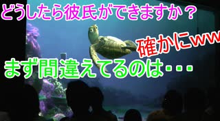 どうしたら彼氏が出来ますか 【タートルトーク】東京ディズニーシー