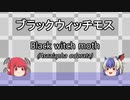 【ゆっくり解説】名無したちで虫紹介　Part3　【ブラックウィッチモス】