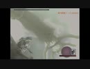 【TAS】ワンダと巨像(PS2)NTA第１３の巨像 56秒31