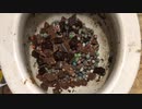 色んなM&M'sをトイレに流してみた