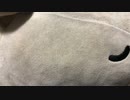 【ASMR】寝息/右みみのみ