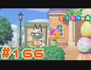【実況】仲良く広場でヨガをするパッチとジャック #166【あつまれどうぶつの森】