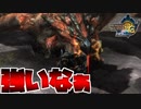 自称は自称であれ！俺を俺を倒すな【MH3G.HDver】