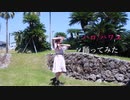 【まーみん】ハロ／ハワユ 【踊ってみた】