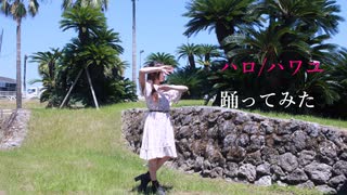 【まーみん】ハロ／ハワユ 【踊ってみた】