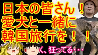 ゆっくり雑談 261回目(2020/9/2)