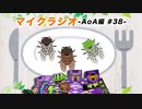 【マイクラジオ】最強の匠は俺だ！絶望的センス4人衆がカオスマイクラジオAOA編♯38【4人実況】