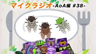 【マイクラジオ】最強の匠は俺だ！絶望的センス4人衆がカオスマイクラジオAOA編♯38【4人実況】