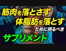 【サプリ活用法】筋肉を落とさずに体脂肪を落とすために摂った方がいいサプリ【ビーレジェンド プロテイン】