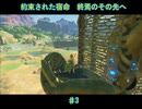 【ゼルダの伝説BotW】約束された宿命　100年後のその先へ　♯3【マスターモード実況】