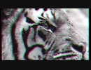 「天音」heavy metal arrange