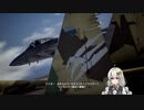 【ACE COMBAT 7】未知なる空のただ中で Part 11【VOICEROID実況】