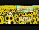 【オリジナル】夏の記憶 / ぐに feat.IA