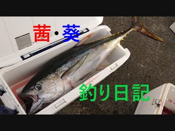 【VOICEROIDフィッシング】#1 太平洋沖泳がせ大物釣り【茜・葵の釣り日記】