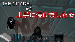 【閲覧注意】「上手に焼けました☆」＃３オールドスク―ルＦＰＳ【The CITADEL】