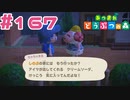 【実況】ちゃちゃまるとしのぶちゃんはいつそんなに仲良くなったの？ #167【あつまれどうぶつの森】