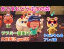 □■ララミーちゃんの誕生日【まったりあつ森実況録part33】