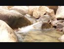 足利豪