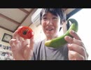 Video 339  【七間朝市】生命溢れる自然の野菜が、そこにある。値段も安い。朝市＆食生活を見直して健康な大野市民を目指そう。（2020年9月3日）