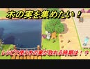 あつまれどうぶつの森　どんぐりとまつぼっくりの集め方とは！？レシピで使う木の実が取れる期間は？　【あつ森】