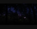 良い場所   One Hour of Summer Night Ambience / Deep Sleep / STRESS RELIEF Relaxing Sounds