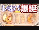 【二匹同時！】レオパの赤ちゃんが産まれてきました。