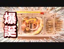 【死産】レオパの赤ちゃんが産まれました。
