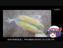 ゆっくり農民141トウモロコシを育ててみませんか？#11