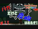 まんまとクイズの罠にかかったバカ　「ペーパーマリオオリガミキング」　＃25