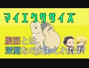【マイエクササイズ】腹筋とは深淵なのかもしれない（ゲーム実況）