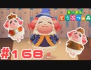 【実況】ちゃちゃまるに色んな服を着てもらった #168【あつまれどうぶつの森】