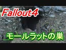 【フォールアウト４】モールラットの巣【ロケーション】