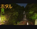 ちょっと蛍見に行ってくる PT234