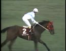 1995 4歳牝馬特別(西)　ライデンリーダー