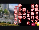おから施工...　【江戸川 media lab HUB】お笑い･面白い･楽しい･真面目な海外時事知的エンタメ
